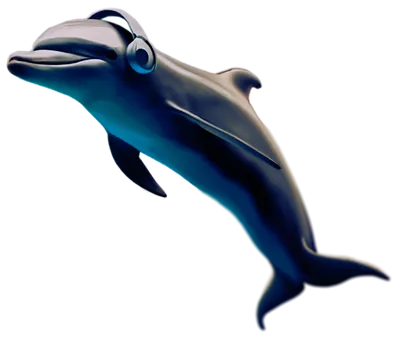 Dolphin wearing heaphones